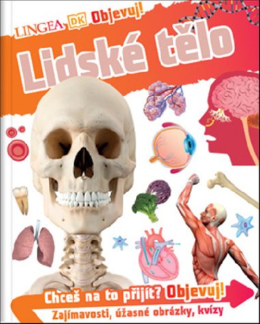 Objevuj! Lidské tělo - Lingea