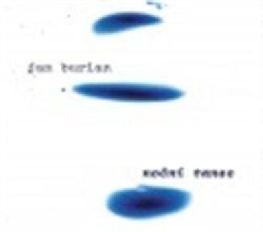 Noční tanec - CD - Jan Burian