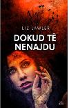 Dokud t nenajdu - Liz Lawler