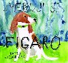 Jmenuji se Figaro - Pavla Jazairiov