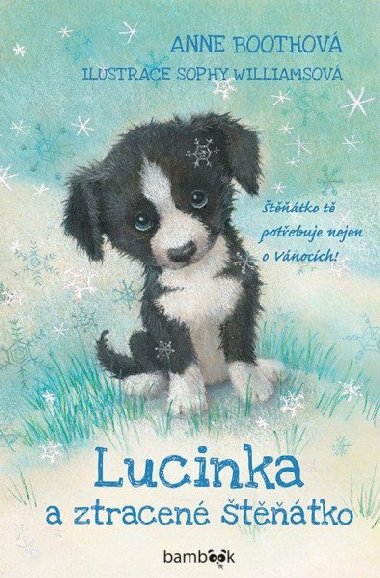 Lucinka a ztracen ttko - Anne Boothov; Sophy Williamsov