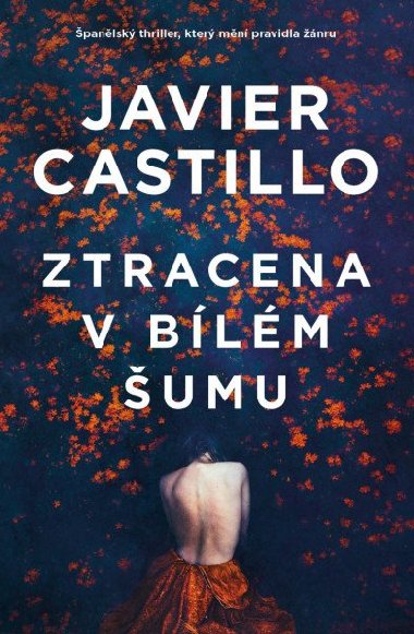 Ztracena v blm umu - Javier Castillo