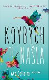Kdybych t nala - Ava Dellaira