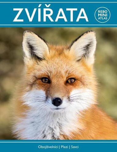 Zvata miniatlas - Rebo