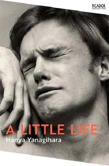 A Little Life - Yanagihara Hanya