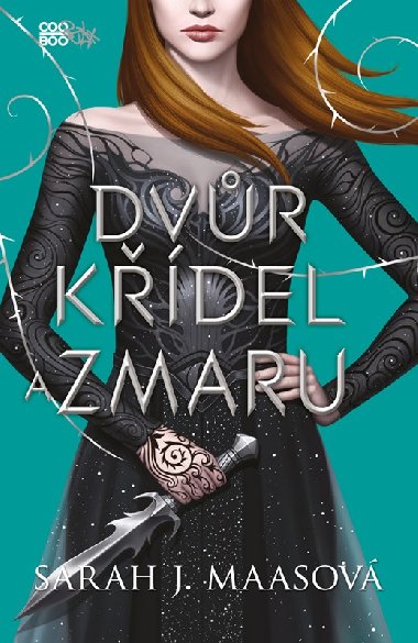 Dvr kdel a zmaru - Sarah J. Maasov