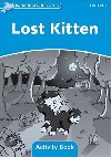 Dolphin Readers 1 - Lost Kitten Activity Book - kolektiv autor
