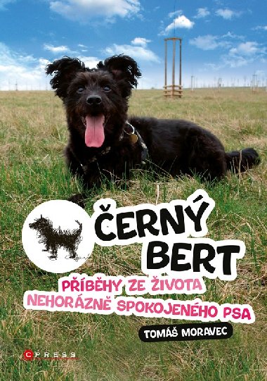 ern Bert - pbhy ze ivota nehorzn spokojenho psa - Tom Moravec