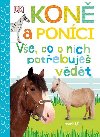 Kon a ponci Ve, co o nich potebuje vdt - Andrea Millsov