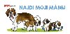 Najdi moji mmu - Infoa