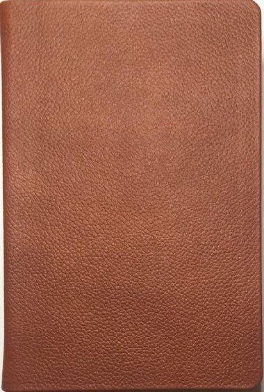 Bible21 prav ke hnd s etu - Alexandr Flek