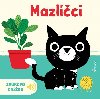 Mazlci - zvukov knka - Axima