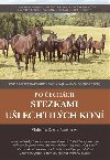 Po echch stezkami ulechtilch kon - Zdenka Rozehnalov,Vladimr Rozehnal