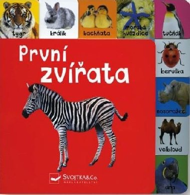 Prvn zvata - Svojtka