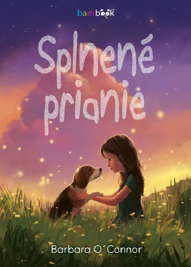 Splnen prianie - Barbara OConnor