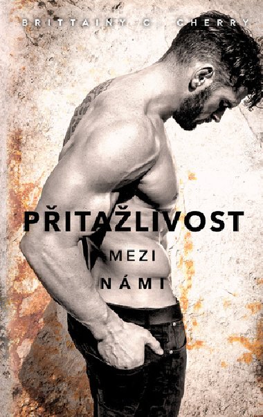 Pitalivost mezi nmi - Brittainy C. Cherry