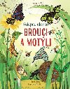 Brouci a motli - kuk pod oknko - Emily Bone; Nat Hues