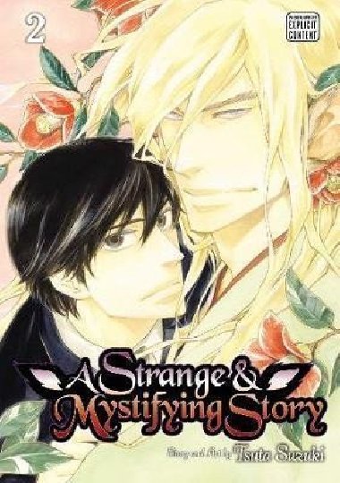 A Strange and Mystifying Story 2 - Suzuki Tsuta