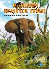 Pohledem divokch zvat - Edika