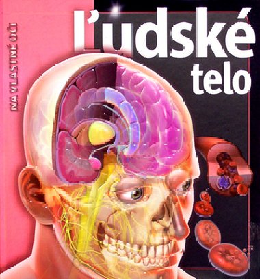 udsk telo - Linda Calabresi