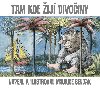 Tam, kde ij divoiny - Sendak Maurice