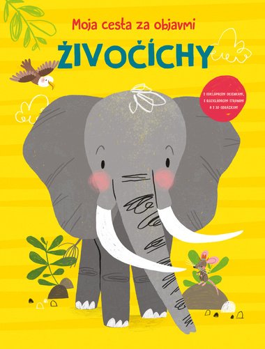 ivochy - 
