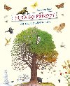 Hur do prody: Proda v prbhu roku - Susanne Riha