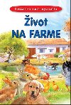 ivot na statku - 