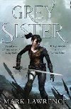 Grey Sister - Lawrence Mark