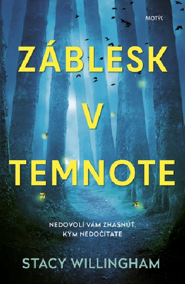 Zblesk v temnote - Stacy Willingham