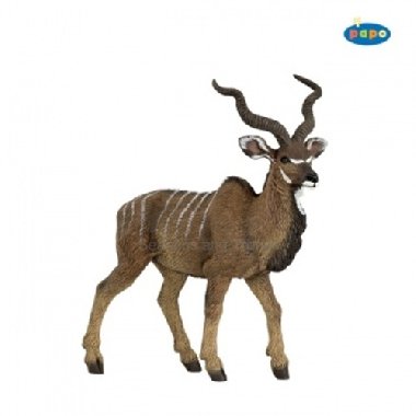 Antilopa kudu - 