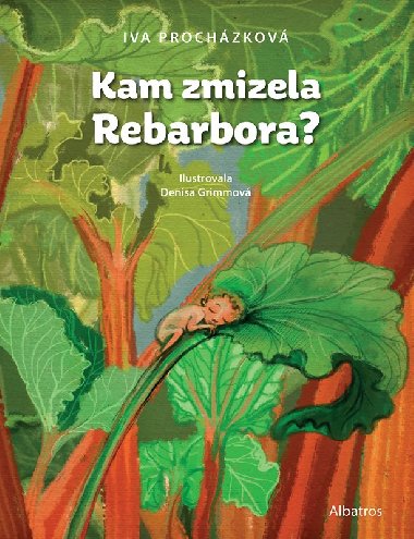 Kam zmizela Rebarbora? - Prochzkov Iva