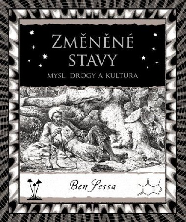 Zmnn stavy - Mysl, drogy a kultura - Ben Sessa