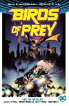 Birds of Prey 1 - Kdo je Oracle? - Julie Bensonov; Shawna Bensonov