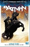 Batman Operace Zásnuby - Tom King