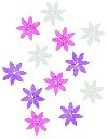 Devn kvty 4cm/rovofialov mix 12 - neuveden