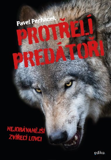 Protel predtoi - Nejobvanj zvec lovci - Pavel Pechek