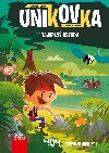 nikovka: Tajupln ostrov - Stphane Anquetil