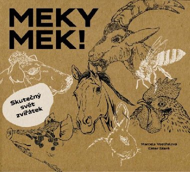MEKY MEK! Skuten svt zvtek - Ester Star