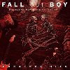 Greatest Hits: Believers Never Die Volume 2 - Fall Out Boy