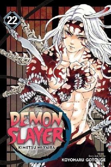 Demon Slayer: Kimetsu no Yaiba 22 - Gotouge Koyoharu