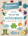 Moje prvn kniha o ronch obdobch - Chiara Piroddiov