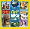 Little Kids First Big Book of the World - Carney Elizabeth