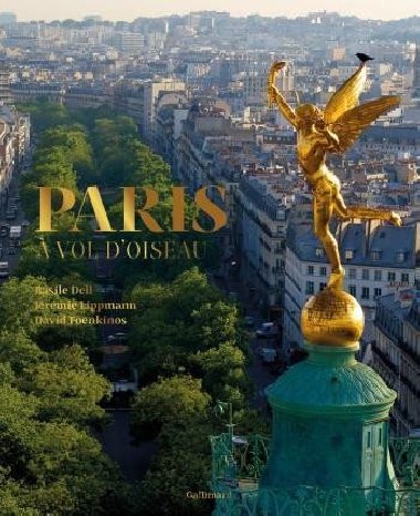 Paris a vol doiseau - Foenkinos David