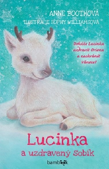 Lucinka a uzdraven sobk - Anne Boothov