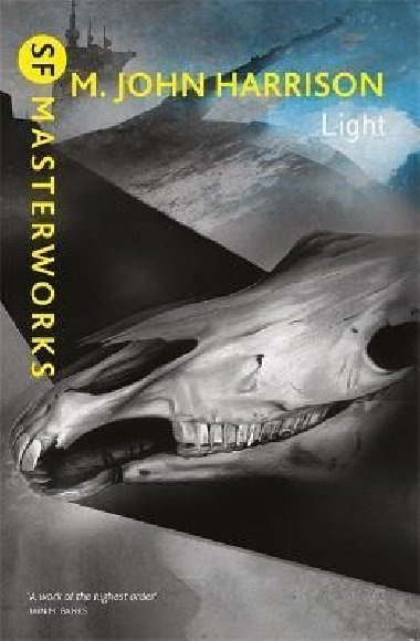 Light - Harrison M. John