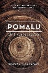 Pomalu - Brooke McAlaryov