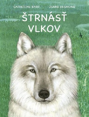 trns vlkov (slovensky) - Barr Catherine