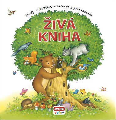 iv kniha - 
