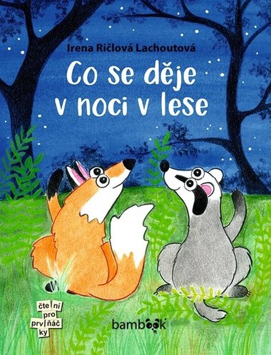 Co se dje v noci v lese - Irena Rilov Lachoutov